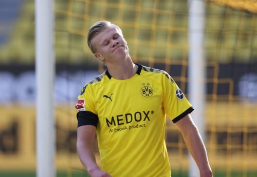 面对尼克斯 面对尼克斯