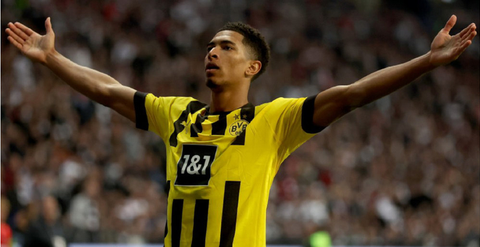 发展机会 发展机会